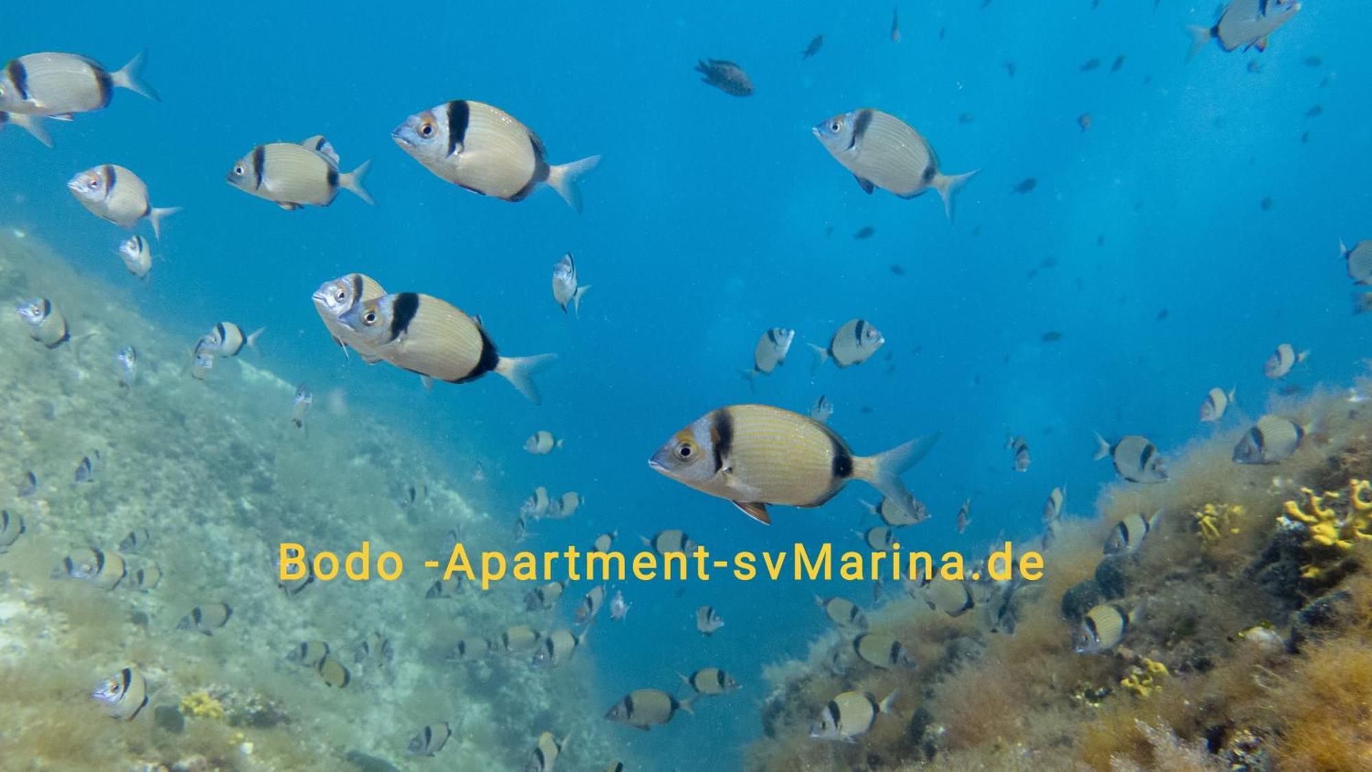 Bodo Apartment Labin  Eksteriør bilde